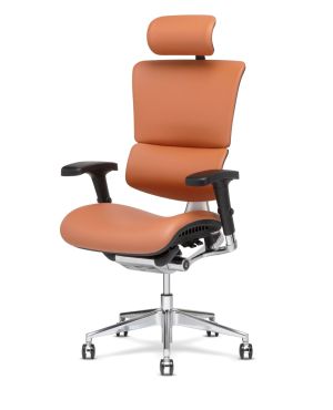 X4 - XLeather 10