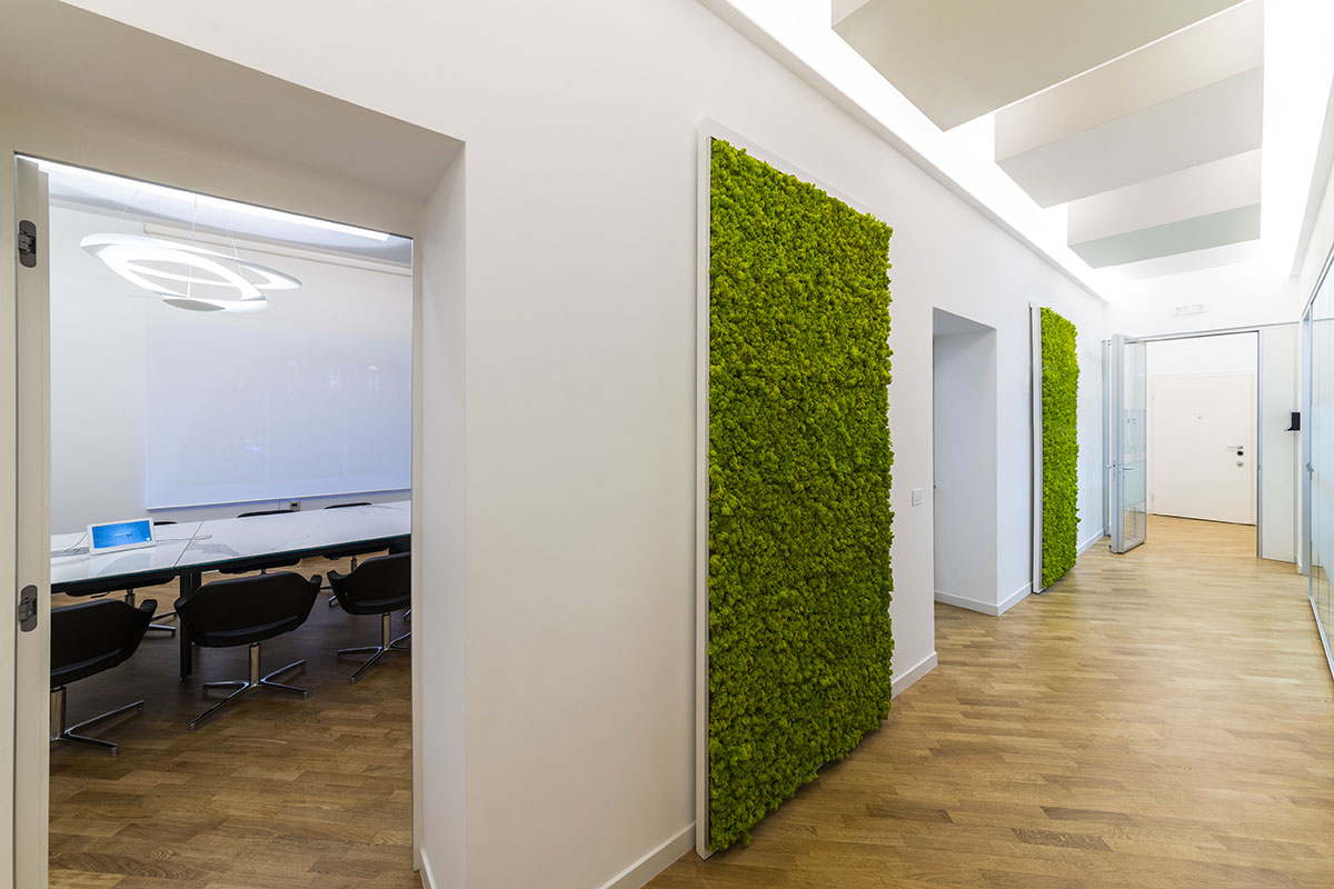 pareti vegetali in ufficio